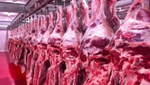 Et Operasyonunda Kayserili İsimler Dahil Tüm Tutuklular Serbest Bırakıldı