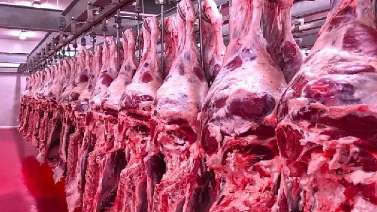 Et Operasyonunda Kayserili İsimler Dahil Tüm Tutuklular Serbest Bırakıldı