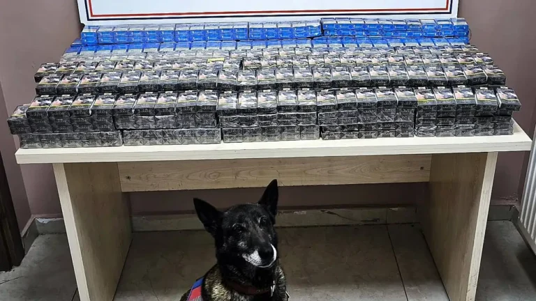 Kayseri’de Jandarmadan Kaçakçılık Darbesi: Dedektör Köpek 1008 Paket Bandrolsüz Sigara Yakalattı