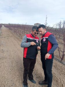 Kayseri Tomarza’da Zirai Don Riskine Karşı Tarla Denetimleri Aralıksız Sürüyor