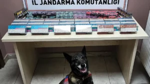 Türkiye Yollarında Kaçakçılıkla Mücadele: Ekonomik ve Sağlık Tehditleri Nasıl Önleniyor?