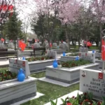 Kartal Şehitliği’nde Duygu Dolu Anneler Günü: “Biz Her Gün Ölüyoruz…”