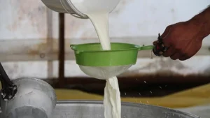 Ulusal Süt Konseyi’nden Yeni Çiğ Süt Fiyatı: İşte Detaylar ve Piyasaya Etkileri