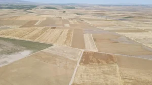 Kayseri'de Çeyrek Asırlık Süreçte Bir İlçe Büyüklüğünde Tarım Alanı Yok Oldu
