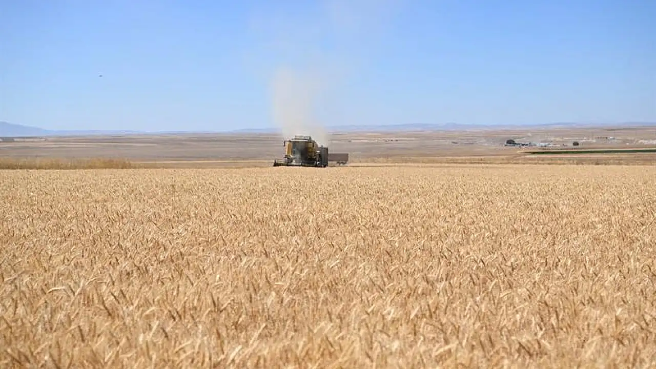 TMO'dan Hububat Üreticisine Müjde: 2026 Ürünü Buğday ve Arpa Alım Fiyatları Açıklandı
