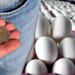 Haziran Ayı Sofralara Bereket Getirdi: Yumurta Fiyatlarında Önemli Düşüş
